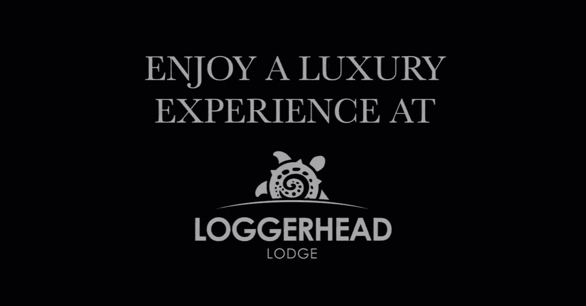 loggerhead lodge video